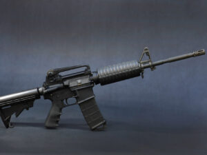 AR-15 gun