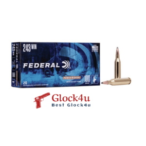 243 Winchester 100-grain SP ammunition, soft point rounds designed for controlled expansion and effective hunting performance.