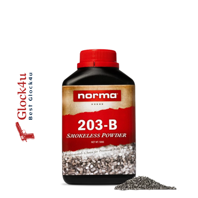 Norma 203B